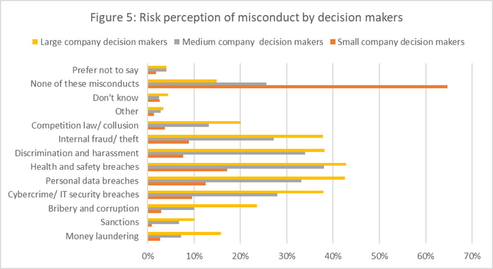 Figure5-Risk-Perception-By-Size