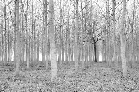 the-cyber-policy–practice-gap:-align-now-for-resilience-|-pr-feature