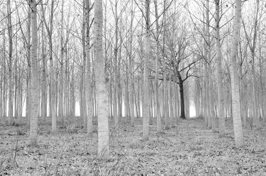 The+cyber+policy%E2%80%93practice+gap%3A+align+now+for+resilience